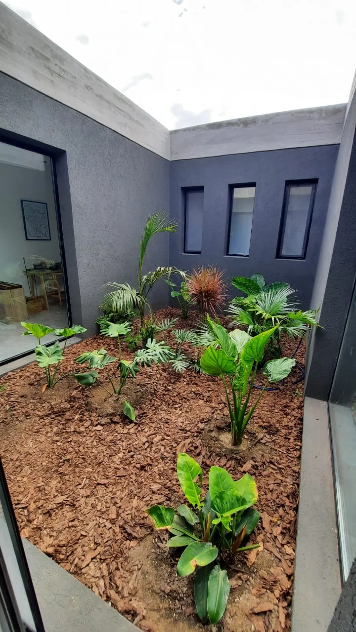 Casa Lucrecia Pilar — patio interno con jardín de plantas